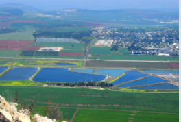 יום כיף לעובדים בגלבוע